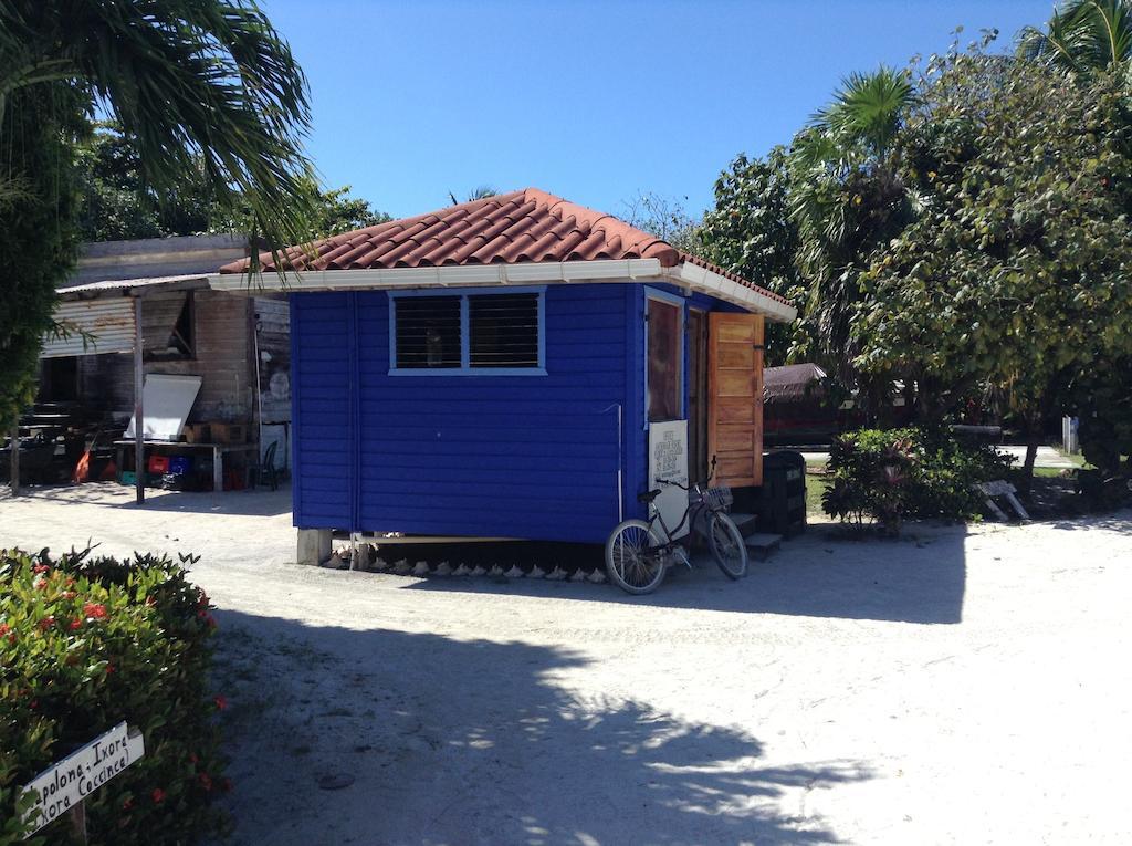 Anchorage Beach Resort Caye Caulker Buitenkant foto