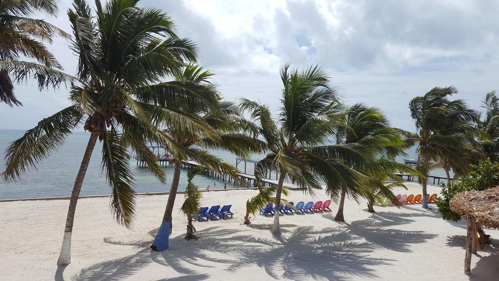 Anchorage Beach Resort Caye Caulker Buitenkant foto